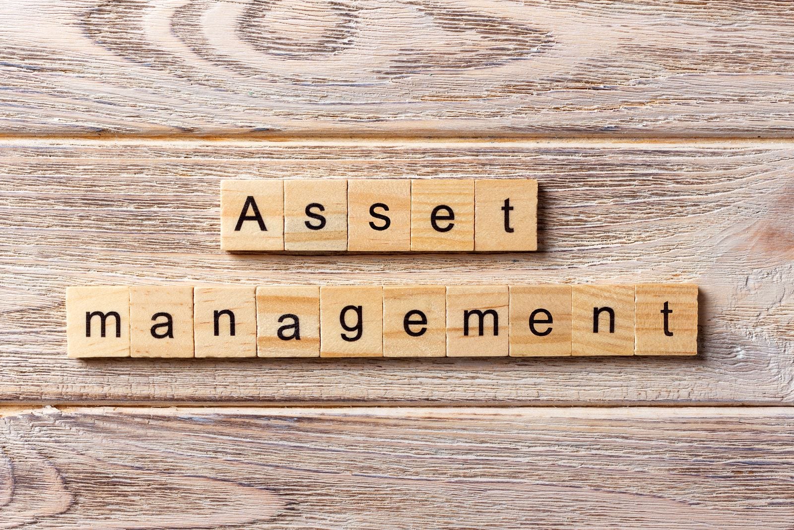 Real Estate Asset Management Vs Property Management Mashvisor