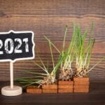 3 Best Real Estate Investment Opportunities to Jump On in 2021