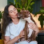 How to Make Your Airbnb Pet Friendly