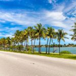 Should You Invest in Land for Sale in Florida?