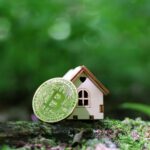 Will Crypto Real Estate Stay Hot in the Next 5 Years?