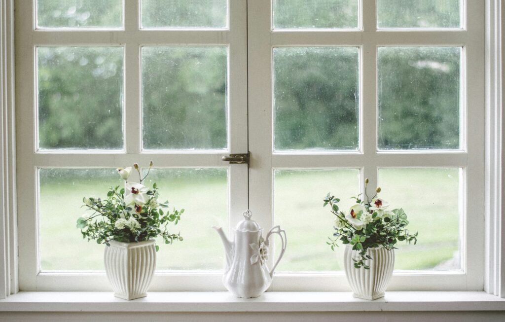 Window sill with two green plants