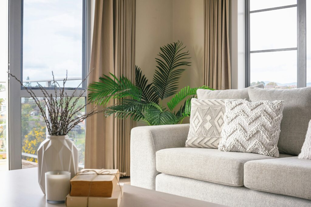 White couch near window with house plant